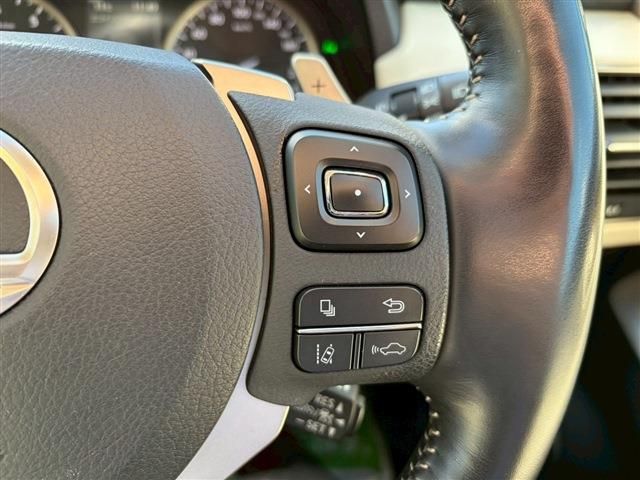 TOYOTA LEXUS NX300 2020 Image 31