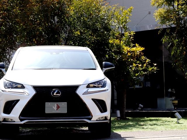 TOYOTA LEXUS NX300 2017 Image 31