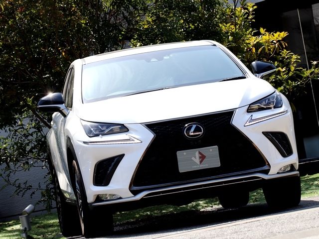 TOYOTA LEXUS NX300 2017 Image 31