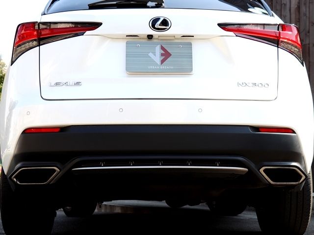 TOYOTA LEXUS NX300 2017 Image 31