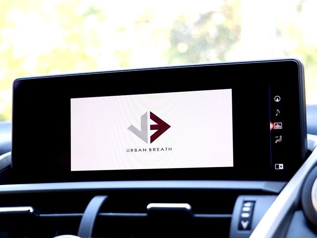 TOYOTA LEXUS NX300 2017 Image 31