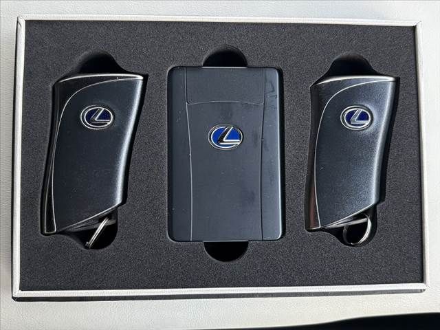 TOYOTA LEXUS ES300H 2021 Image 31