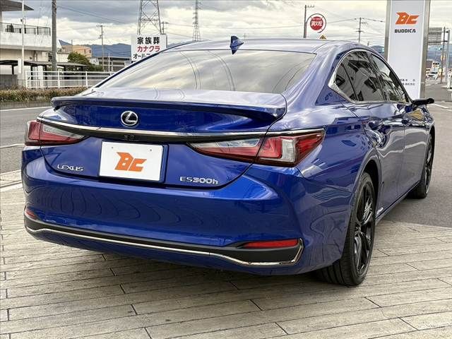 TOYOTA LEXUS ES300H 2021 Image 31