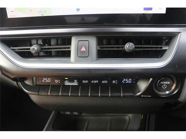 TOYOTA LEXUS UX250H 2023 Image 31