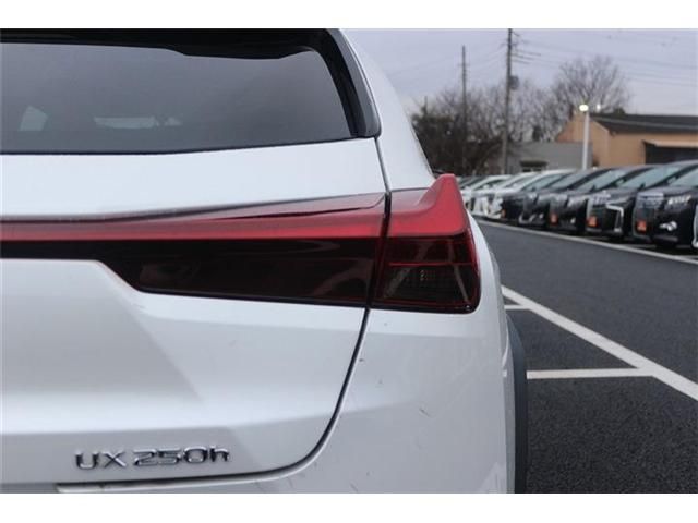 TOYOTA LEXUS UX250H 2023 Image 31