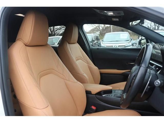 TOYOTA LEXUS UX250H 2023 Image 31