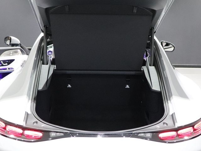 MERCEDES BENZ MERCEDES AMG GT 2025 Image 31