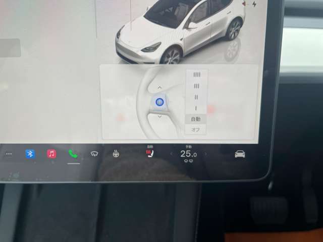TESLA MODEL Y 2024 Image 31