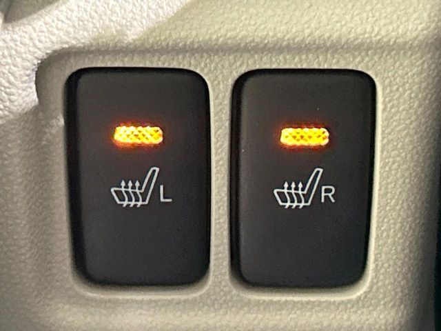 DAIHATSU CAST STYLE 2021 Image 31