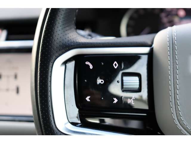 ROVER RANGE  EV 2022 Image 31