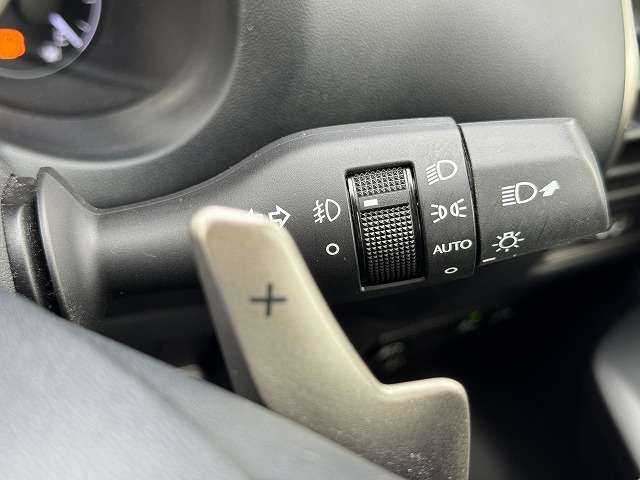 TOYOTA LEXUS NX300 2017 Image 31