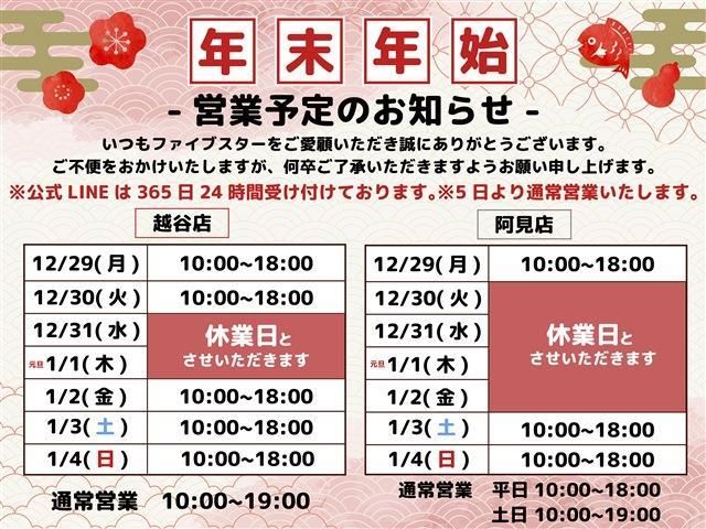 TOYOTA ALPHARD 2013 Image 31