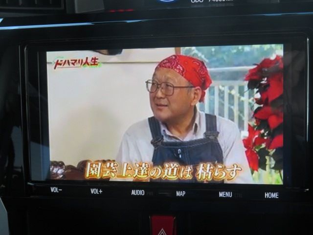 TOYOTA ROOMY 2020 Image 31