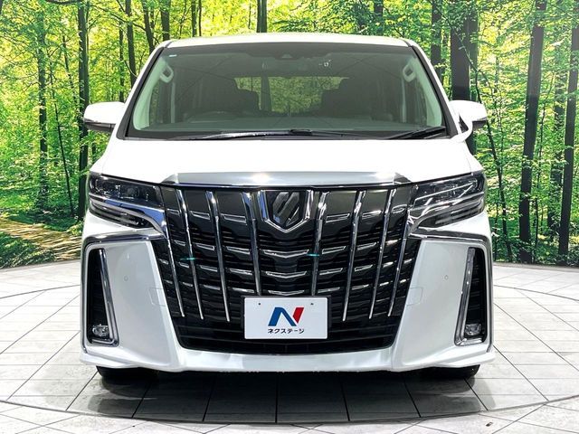 TOYOTA ALPHARD 2018 Image 31