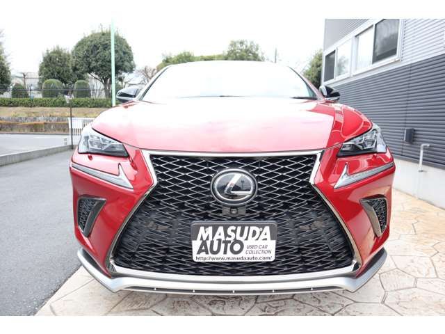 TOYOTA LEXUS NX300 2020 Image 31