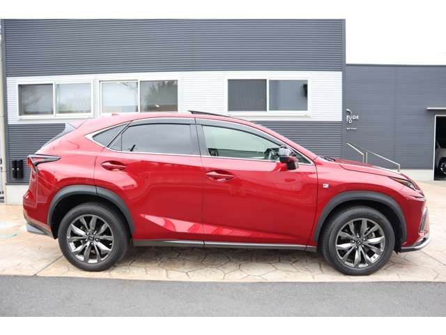 TOYOTA LEXUS NX300 2020 Image 31