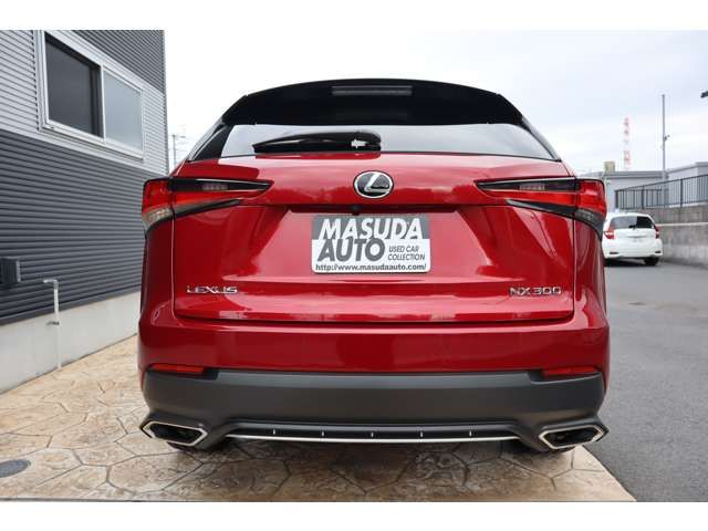 TOYOTA LEXUS NX300 2020 Image 31