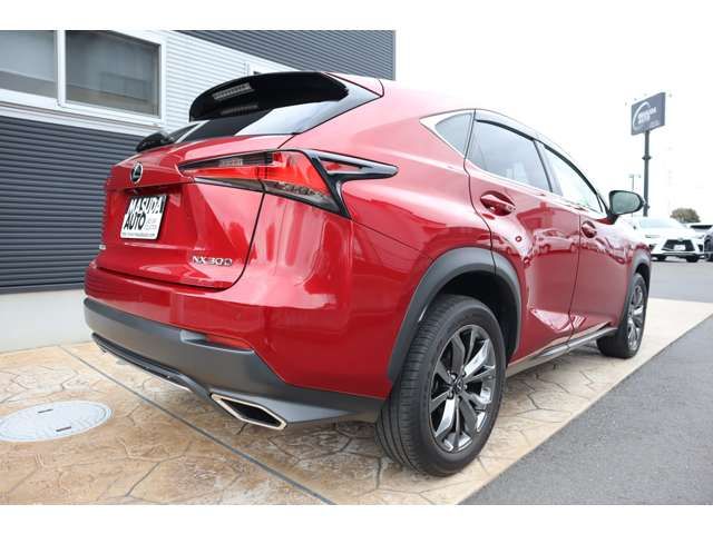 TOYOTA LEXUS NX300 2020 Image 31