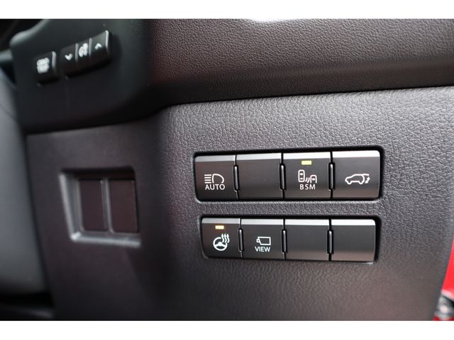 TOYOTA LEXUS NX300 2020 Image 31