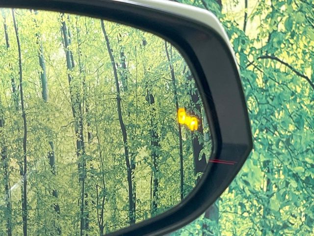 TOYOTA ALPHARD 2022 Image 31