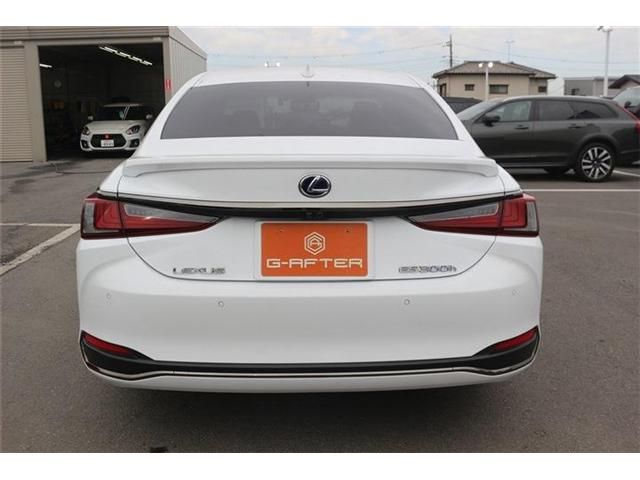 TOYOTA LEXUS ES300H 2019 Image 31