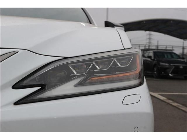 TOYOTA LEXUS ES300H 2019 Image 31