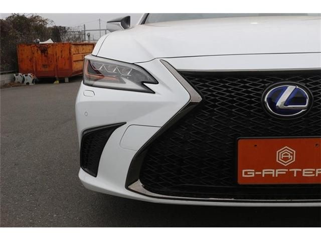 TOYOTA LEXUS ES300H 2019 Image 31