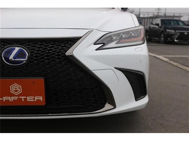 TOYOTA LEXUS ES300H 2019 Image 31