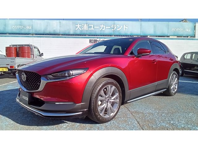 MAZDA CX-30 2021 Image 31