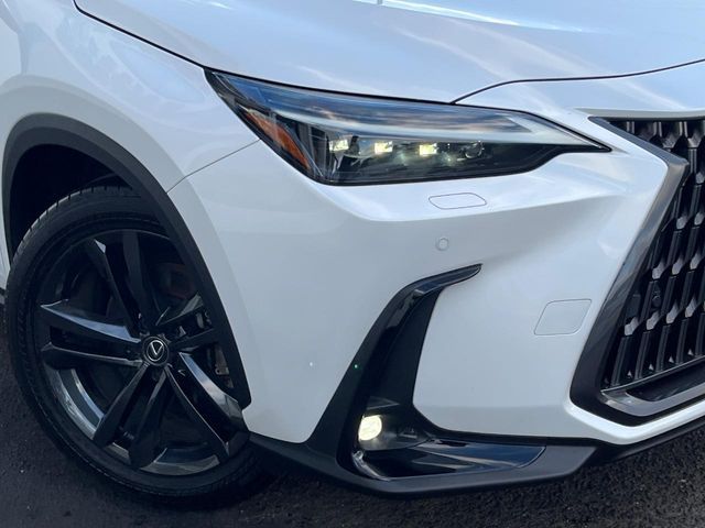 TOYOTA LEXUS NX350H 2023 Image 31