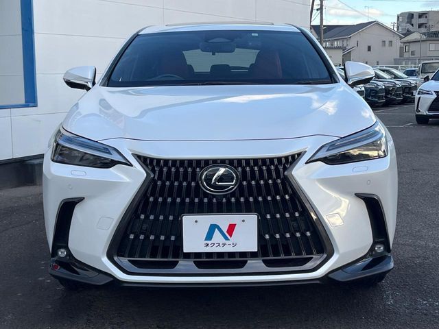 TOYOTA LEXUS NX350H 2023 Image 31