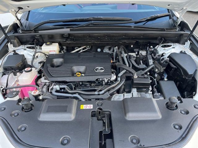 TOYOTA LEXUS NX350H 2023 Image 31