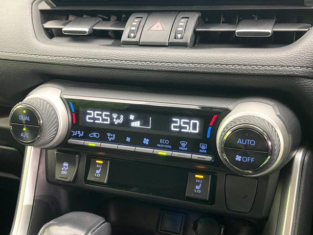 TOYOTA RAV4 4WD 2019 Image 31