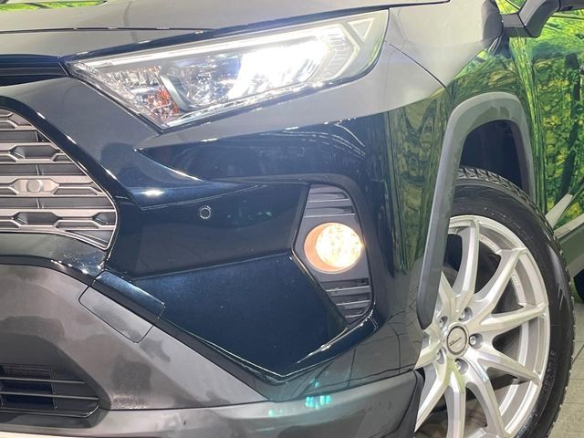 TOYOTA RAV4 4WD 2019 Image 31