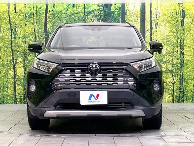 TOYOTA RAV4 4WD 2019 Image 31