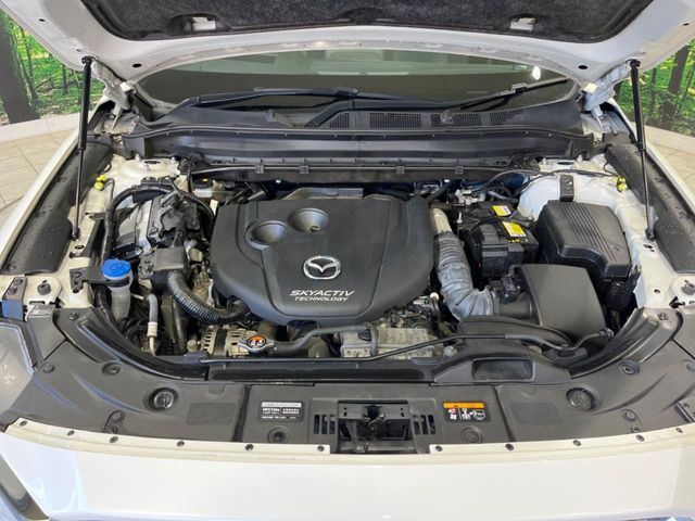 MAZDA CX-8 2019 Image 31