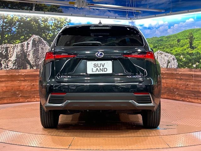 TOYOTA LEXUS NX300H 2018 Image 31