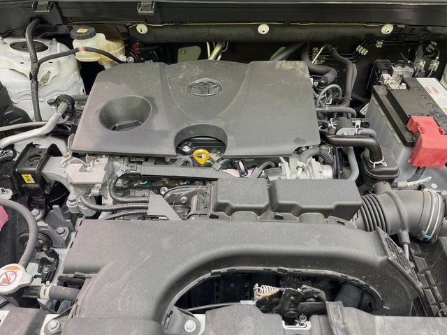 TOYOTA RAV4 4WD 2021 Image 31