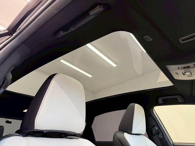 TOYOTA LEXUS NX300H 2018 Image 31