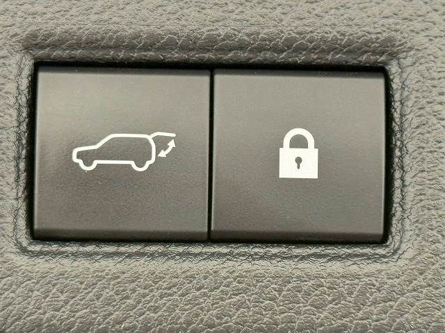 TOYOTA LEXUS NX300H 2018 Image 31