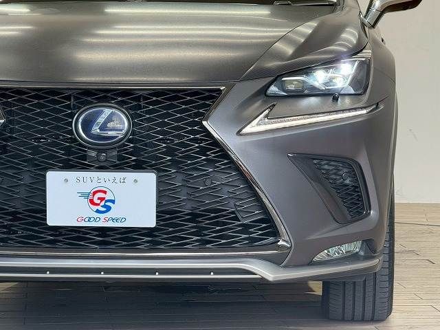 TOYOTA LEXUS NX300H 2018 Image 31