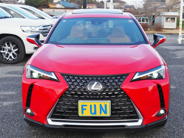 TOYOTA LEXUS UX300E 2024 Image 31