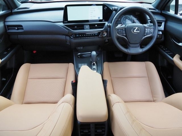 TOYOTA LEXUS UX300E 2024 Image 31