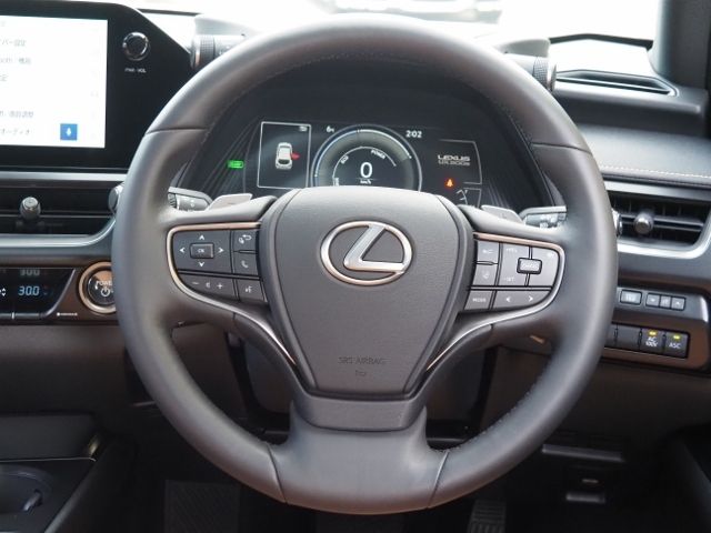 TOYOTA LEXUS UX300E 2024 Image 31
