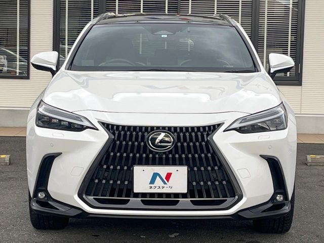 TOYOTA LEXUS NX350H 2023 Image 31