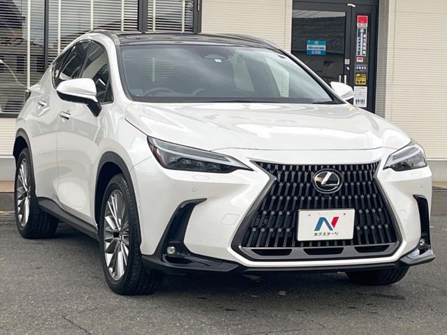 TOYOTA LEXUS NX350H 2023 Image 31