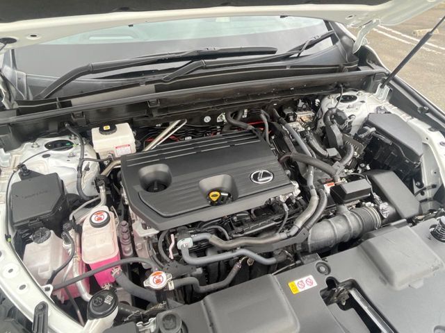 TOYOTA LEXUS NX350H 2023 Image 31