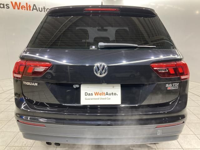 VOLKSWAGEN TIGUAN 2019 Image 31