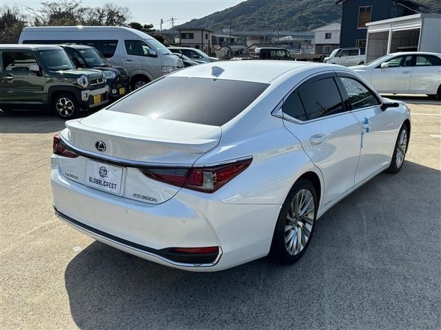 TOYOTA LEXUS ES300H 2019 Image 31