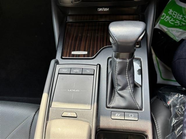 TOYOTA LEXUS ES300H 2019 Image 31